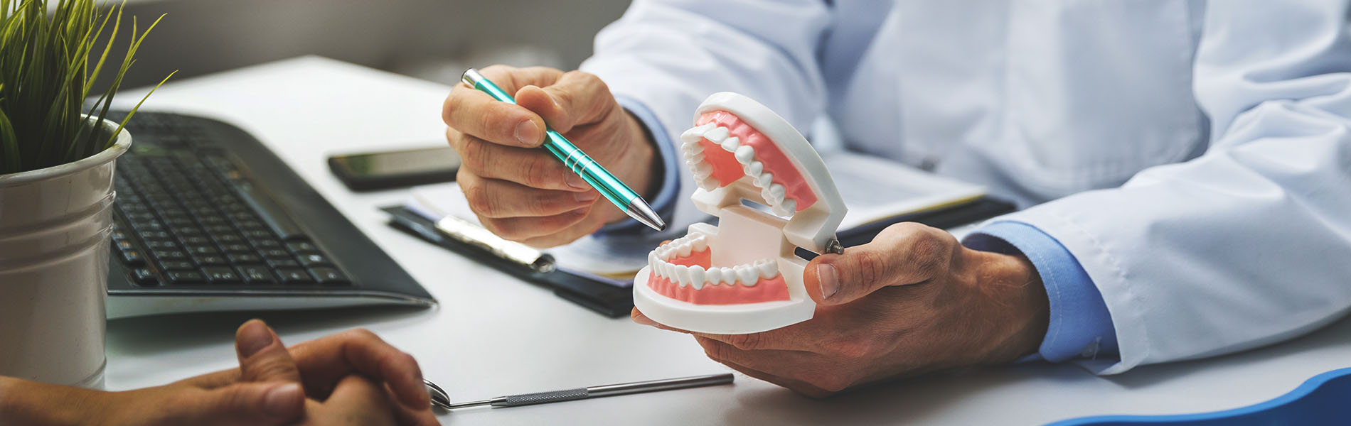 A dental professional examining a patient's teeth model with a pen in hand, set against a blurred background of an office environment.
